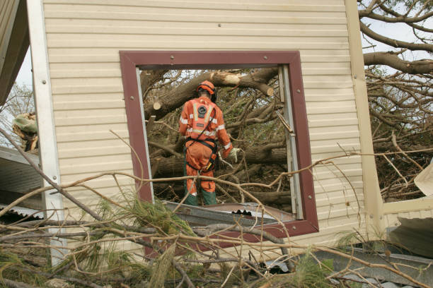 How Our Tree Care Process Works  in  Elmsford, NY